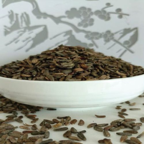 niu-pang-zi